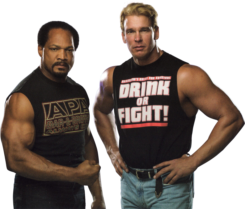 Wwf Intercontinental Championship - Apa Wwe Clipart (1024x864), Png Download