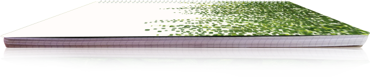 China Composition Book Notebook, China Composition - Grass Clipart (800x800), Png Download