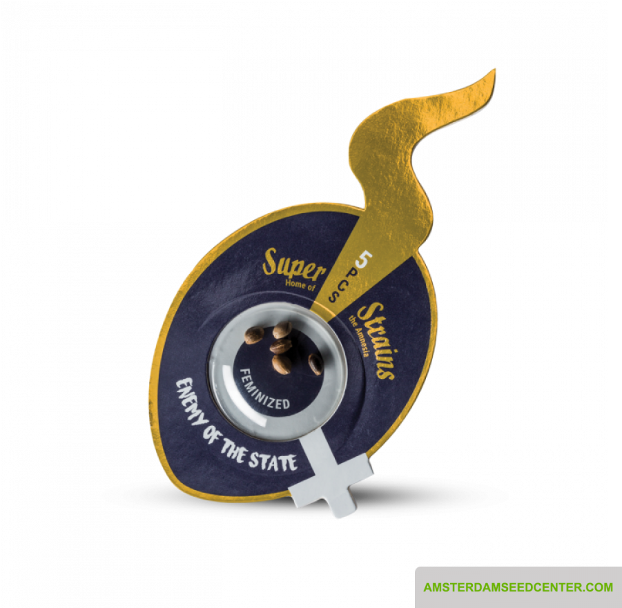 Enemy Of The State Clipart (901x881), Png Download