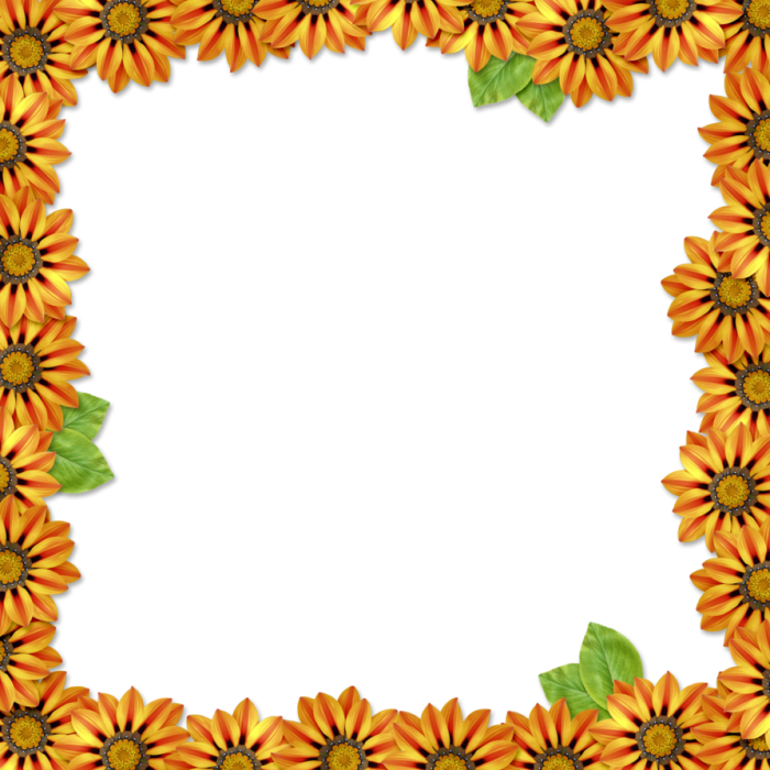 Orange Flower Frame Png - Picture Frame Clipart (700x700), Png Download