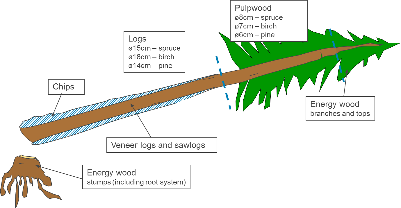 The Diagram Below Shows Roughly How Redwood Trees Are Clipart (1379x716), Png Download