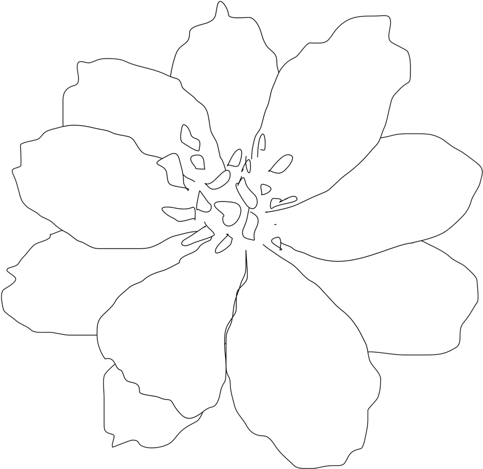 White Flowers Clip Art - Line Art - Png Download (1000x1000), Png Download