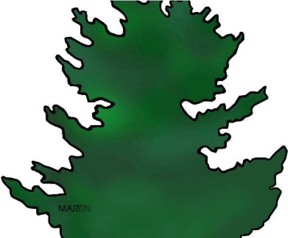 Fir Tree Clipart California Redwood - Png Download (640x480), Png Download