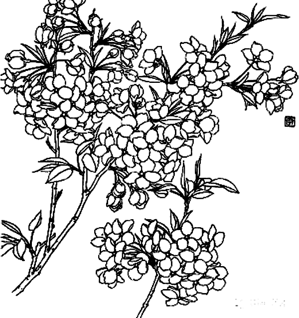 Clipart Royalty Free Stock Flowers Line Branch Transprent - Dibujos De Ramas De Flores - Png Download (600x637), Png Download