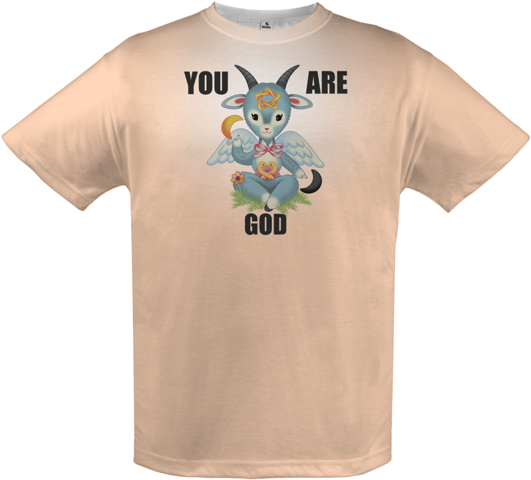 Cockatiel Clipart (1200x1069), Png Download