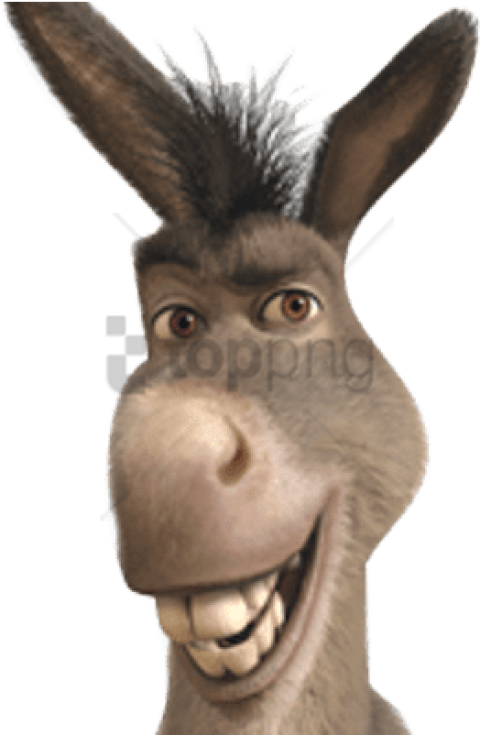Free Png Donkey From Shrek Smiling Png Image With Transparent - Donkey From Shrek Clipart (480x735), Png Download