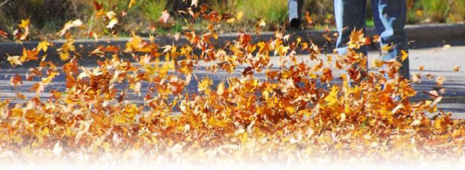 Leaf Blower Clipart (959x352), Png Download