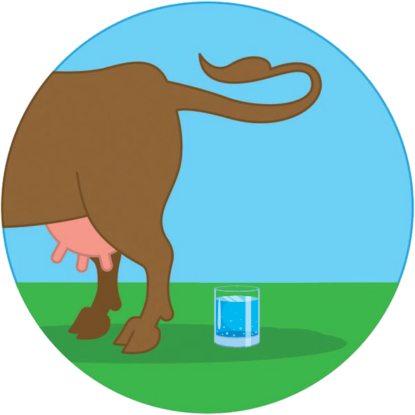 Cow Manure In Potsdam's Drinking Water Clipart (590x590), Png Download