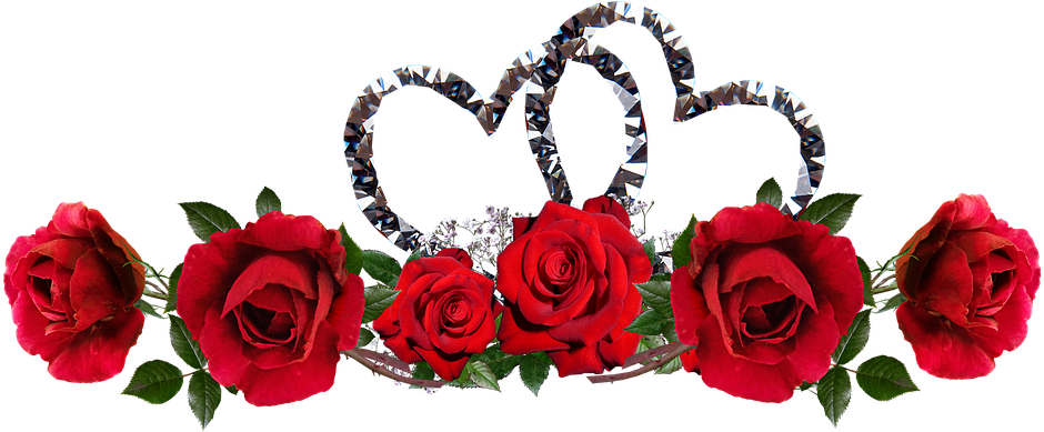 Valentine Roses Red Flowers Hearts Entwined - Garden Roses Clipart (940x389), Png Download