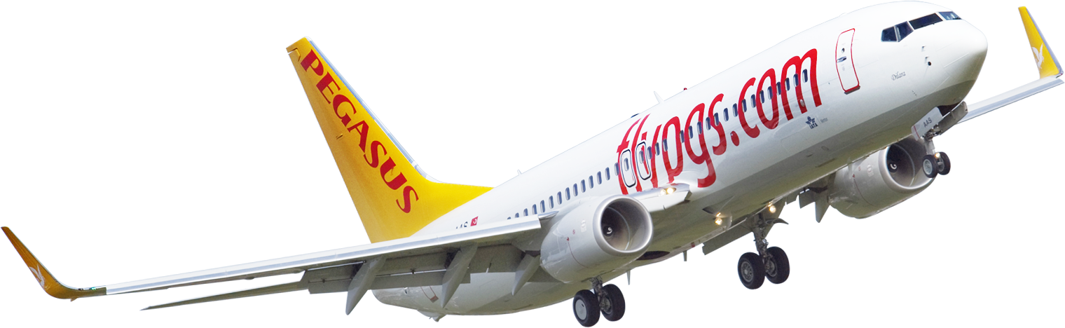 Pegasus Airline Png Clipart (1520x468), Png Download