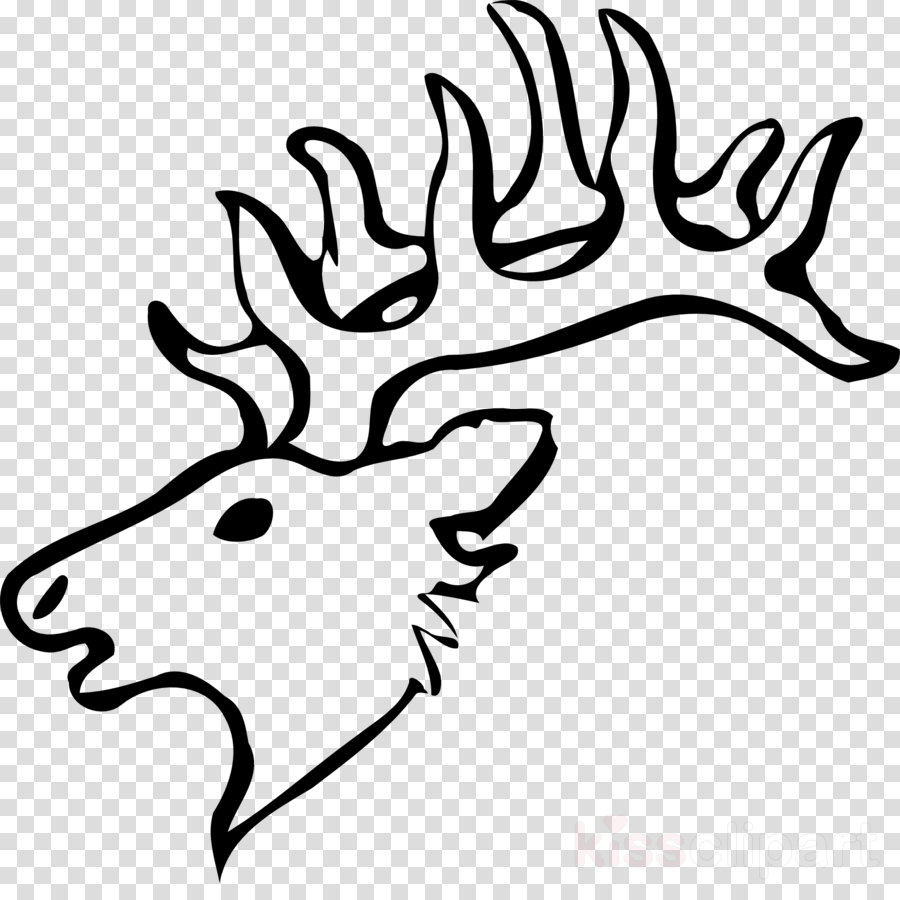 Draw A Deer Head Clipart Reindeer White-tailed Deer - Easy White Tailed Deer Drawing - Png Download (900x900), Png Download