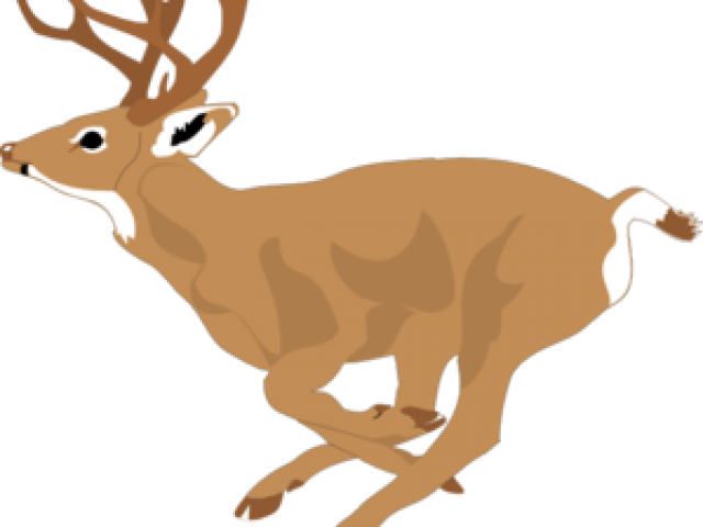 Mule Deer Clipart - Png Download (640x480), Png Download