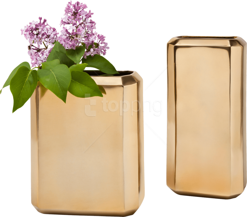 Free Png Download Vase Png Images Background Png Images - Nate Berkus Hex Vase Clipart (850x746), Png Download