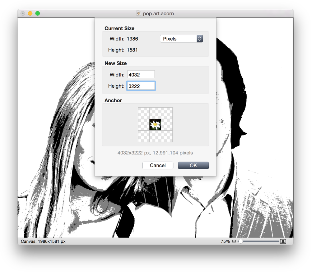 Screen Shot 2015 06 04 At - Pop Art Black And White Photo Editor Clipart (1000x872), Png Download