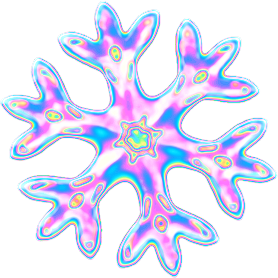 #emoji #snow #snowflake #holographic - Marine Invertebrates Clipart (1024x1024), Png Download