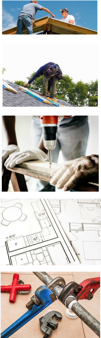 What We Do - Macaw Clipart (600x1192), Png Download