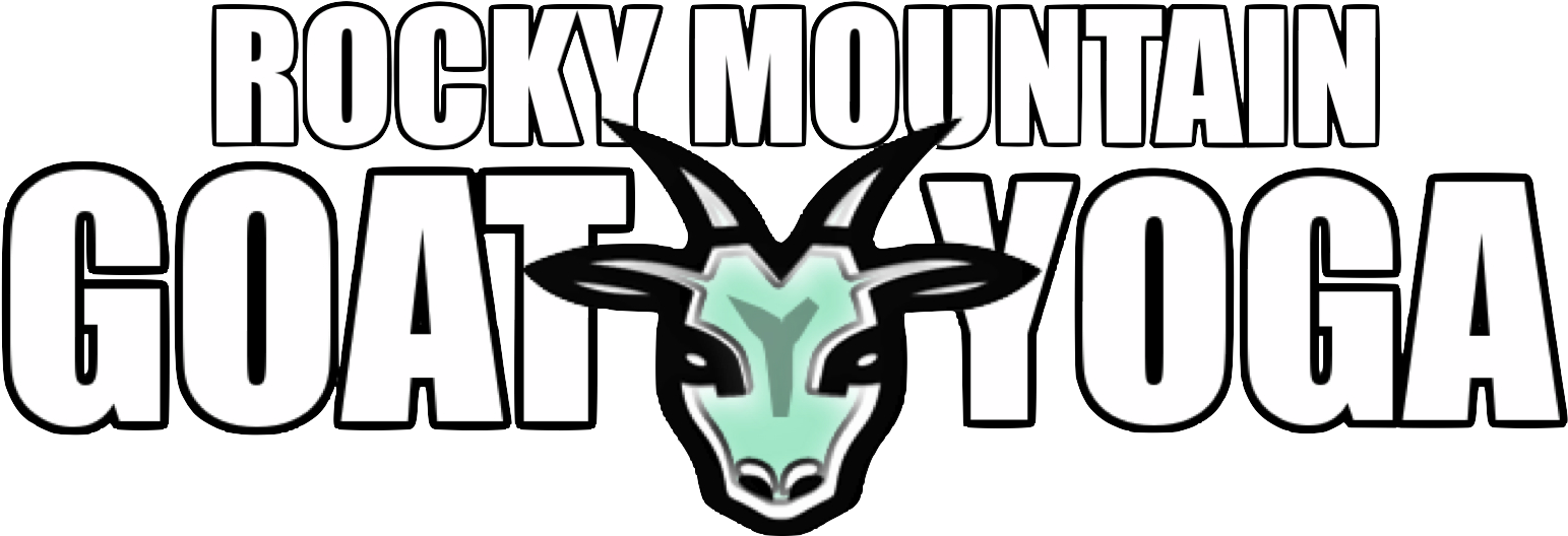 Clip Art - Png Download (1631x564), Png Download