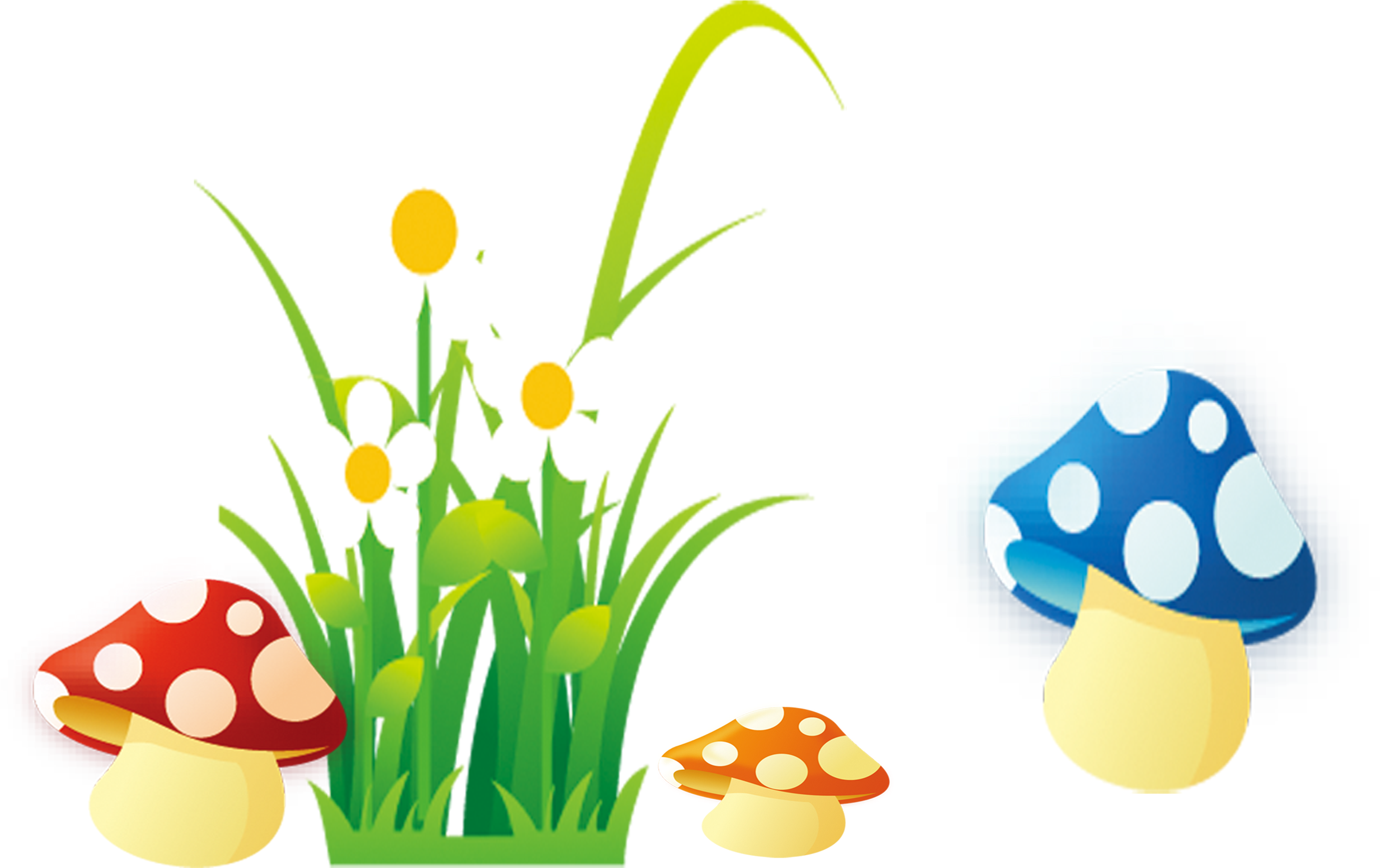 Mushroom Drawing Flower - Transparent Flower Cartoon Png Clipart (3474x2185), Png Download