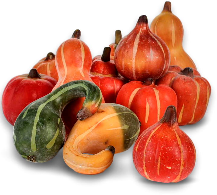 Pumpkin, Fall, Autumn, Harvest, Thanksgiving, Season - Calabaza Clipart (720x720), Png Download