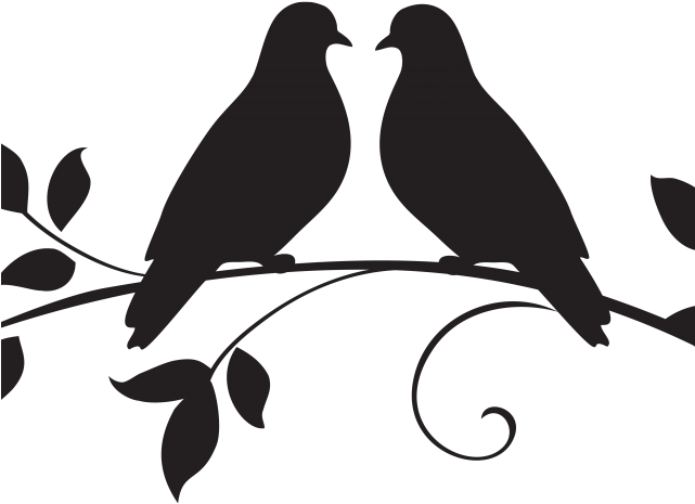 Crow Clipart Branch Silhouette - Love Birds Transparent Background - Png Download (640x480), Png Download