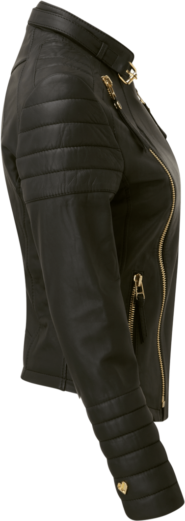 Leather Jacket Clipart (1000x1203), Png Download