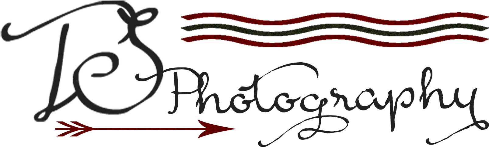 Ts Photography Logo Png , Png Download Clipart (1607x486), Png Download