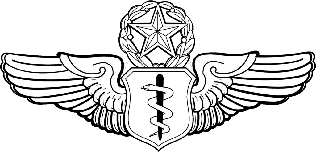 Usaf Command Flight Surgeon Badge-historical - Senior Enlisted Aircrew Wings Clipart (1024x494), Png Download
