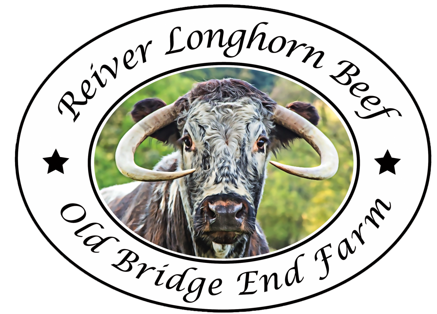 Bull Clipart (1452x1024), Png Download