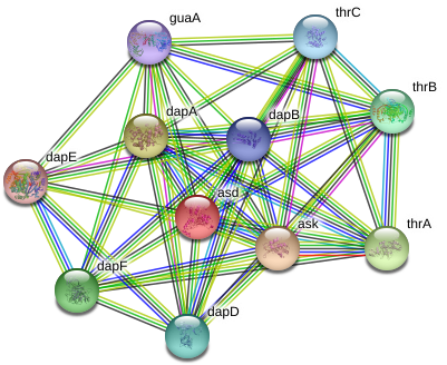 Asd Protein - Circle Clipart (976x364), Png Download