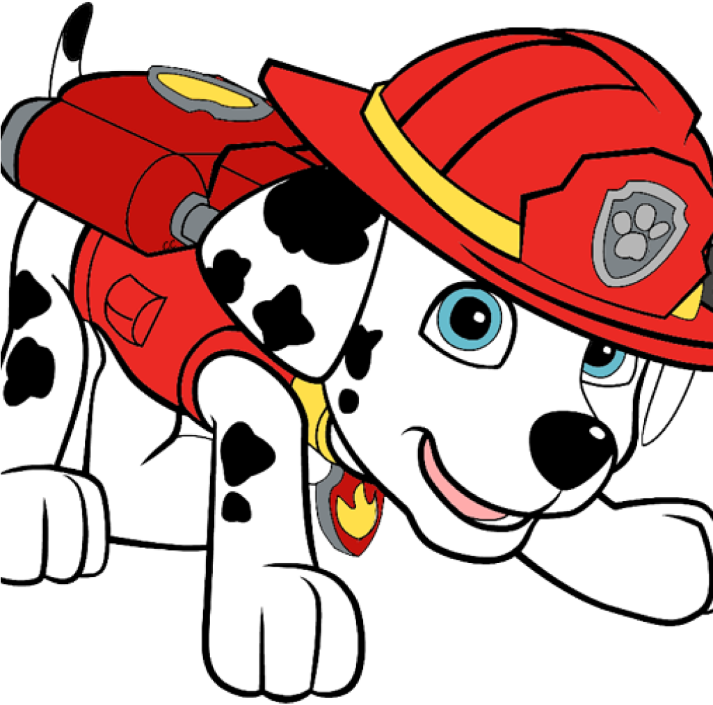 Clipart Library Library Vector Clip Art Inspiration - Marshall Paw Patrol Png Transparent Png (1024x1024), Png Download