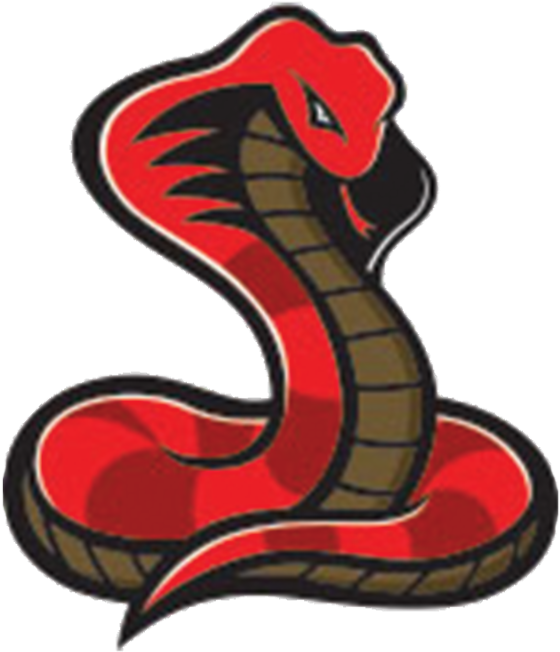 The Latest News For You Svg Transparent Stock - Snake Mascot Logo Png Clipart (800x800), Png Download