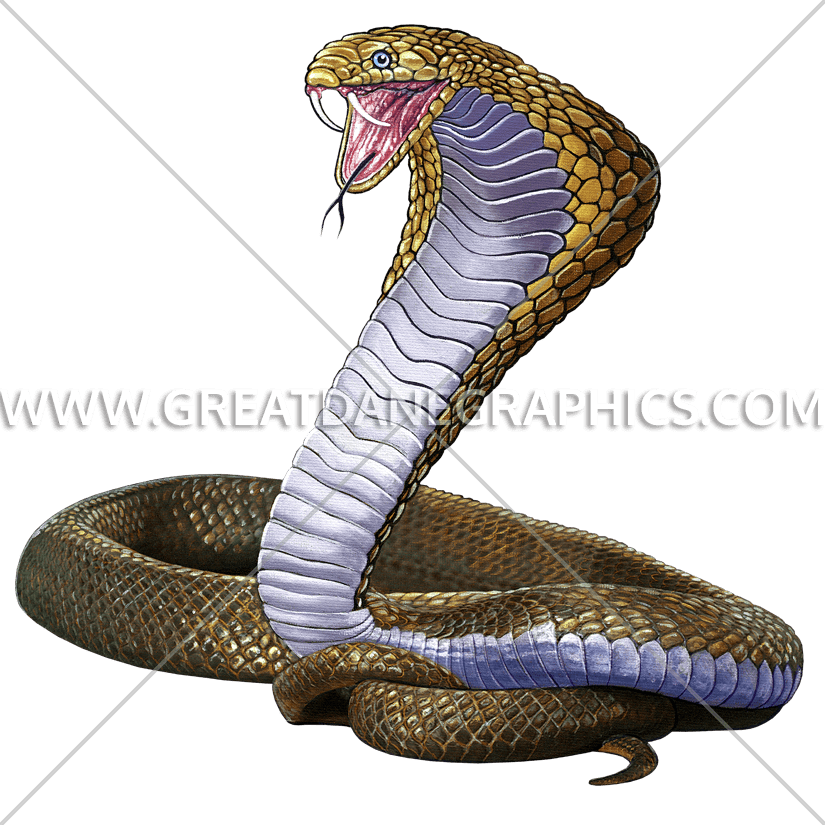 Mascot Production Ready Artwork Clipart (825x825), Png Download