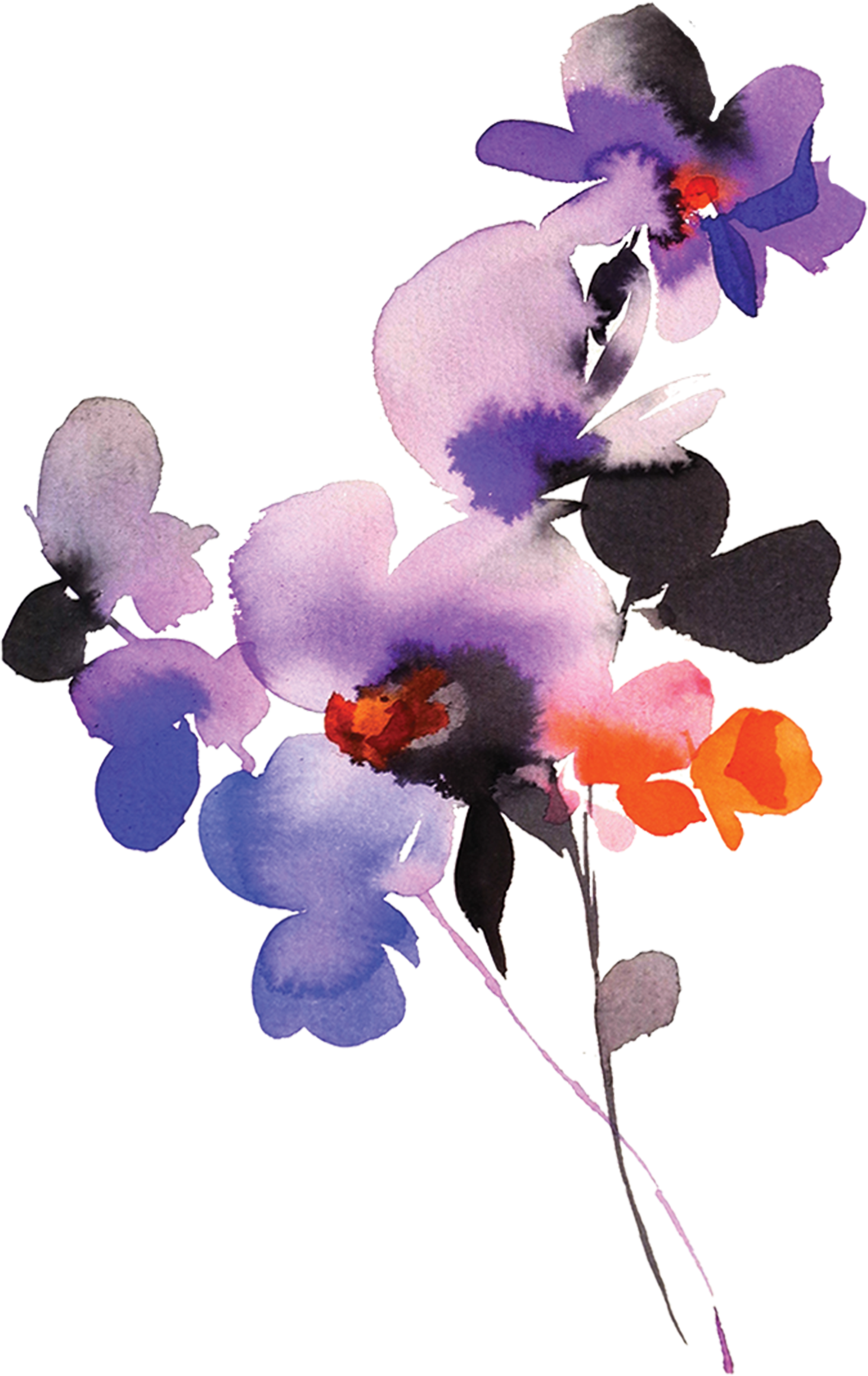 Purple Orchid Watercolor Clipart (1200x1200), Png Download
