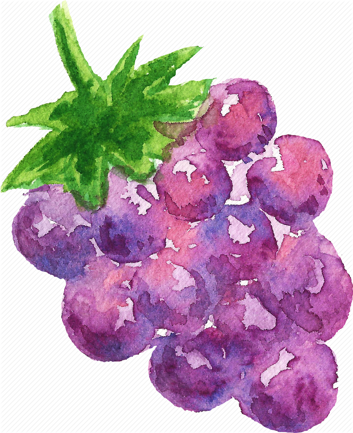Cuisine, Food, Fruit, Fruits, Grape, Watercolor, Watercolors Clipart (1430x1756), Png Download