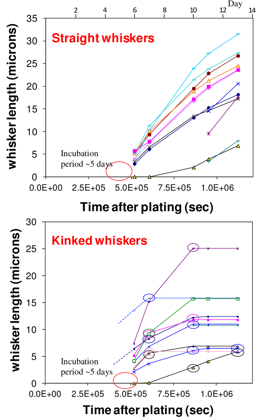 A) Whisker Growth Kinetics For Straight Whiskers Clipart (850x1365), Png Download