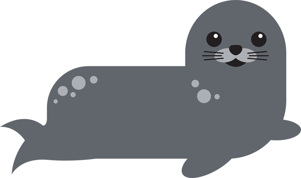 Download Png Image Report - Harbor Seal Clipart Transparent Png (960x569), Png Download