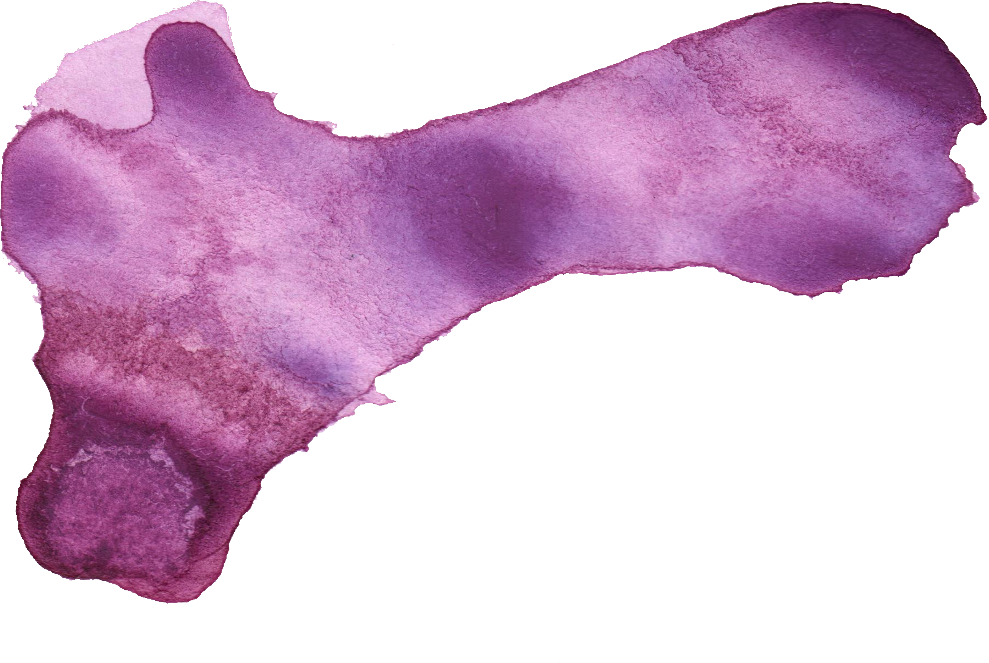 24 Purple Watercolor Brush Stroke - Watercolor Paint Clipart (989x663), Png Download