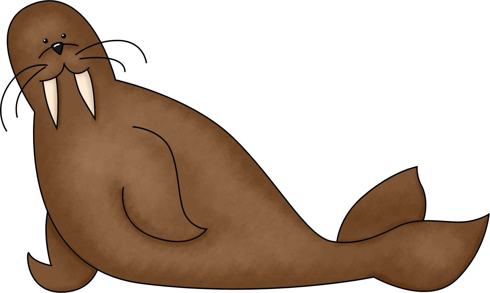 Walrus Png Photos - Walruses Clip Art Transparent Png (1601x958), Png Download