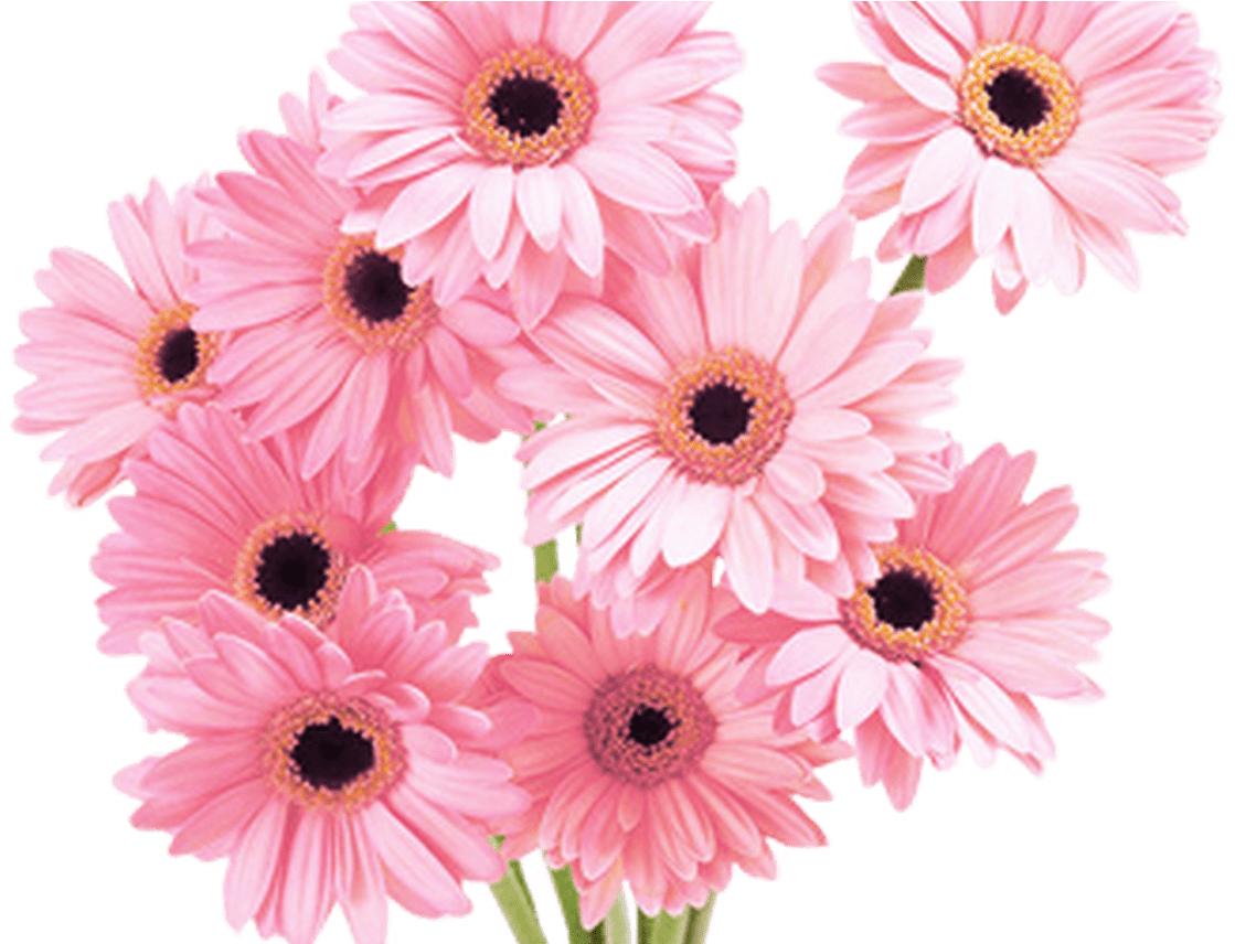 Flowers Pink Tumblr Vaporwave Aesthetic - Flower Bunch Images Hd Clipart (1368x855), Png Download