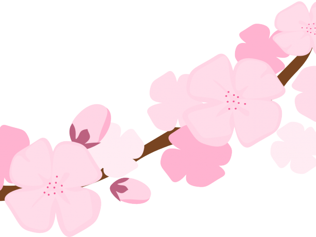 Cherry Tree Clipart Transparent - Clip Art - Png Download (640x480), Png Download