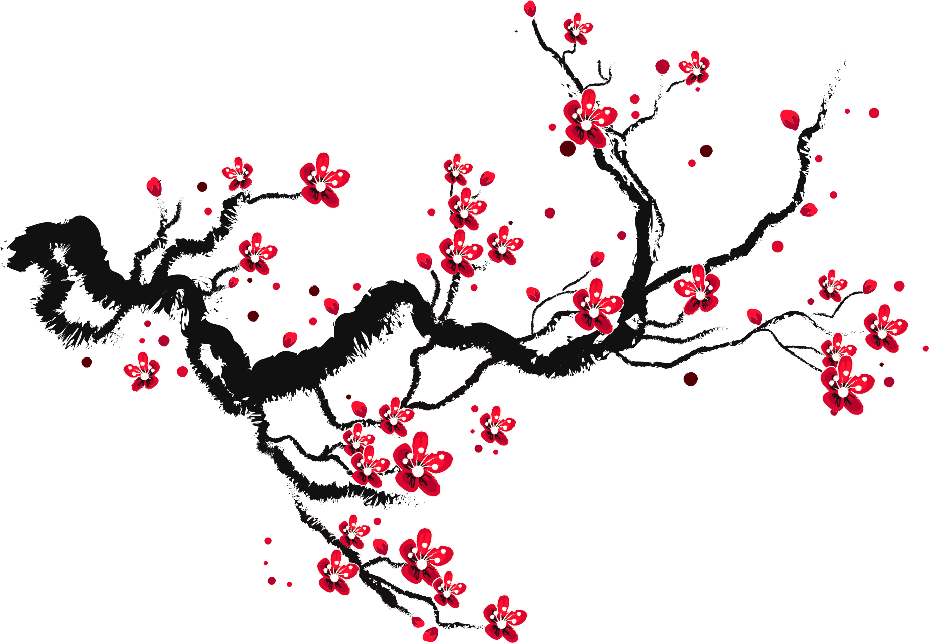 Cherry Blossom Paper Sketch - Drawing Cherry Blossom Branch Clipart (1847.....