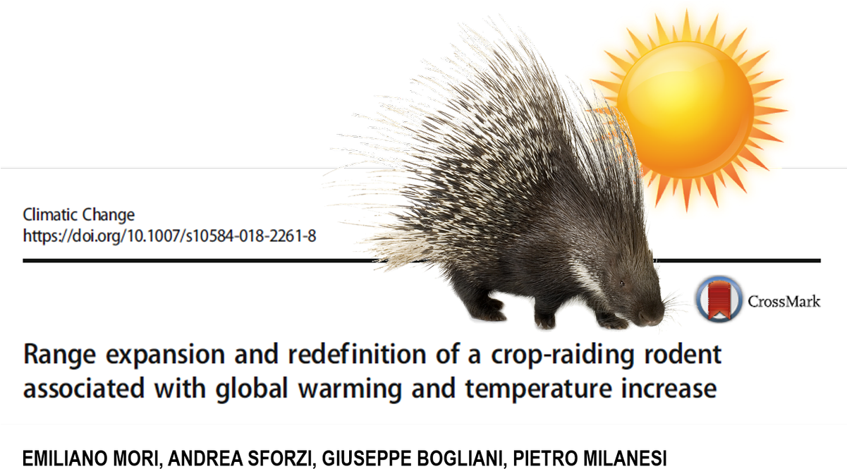 #climaticchange #porcupine #zoology #researchpic - Porkupine Clipart (1200x774), Png Download