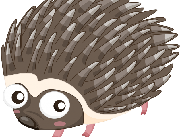 Porcupine Clipart Echidna - Porcupine Cartoon Png Transparent Png (640x480), Png Download