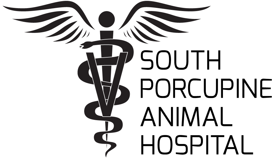 South Porcupine Animal Hospital - Graphic Design Clipart (1000x611), Png Download