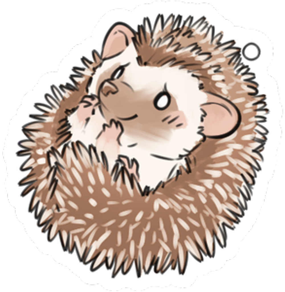 #hedgehog #erizo #porcupine #kawaii #animal #freetoedit - Erizo Kawaii Clipart (1024x1024), Png Download