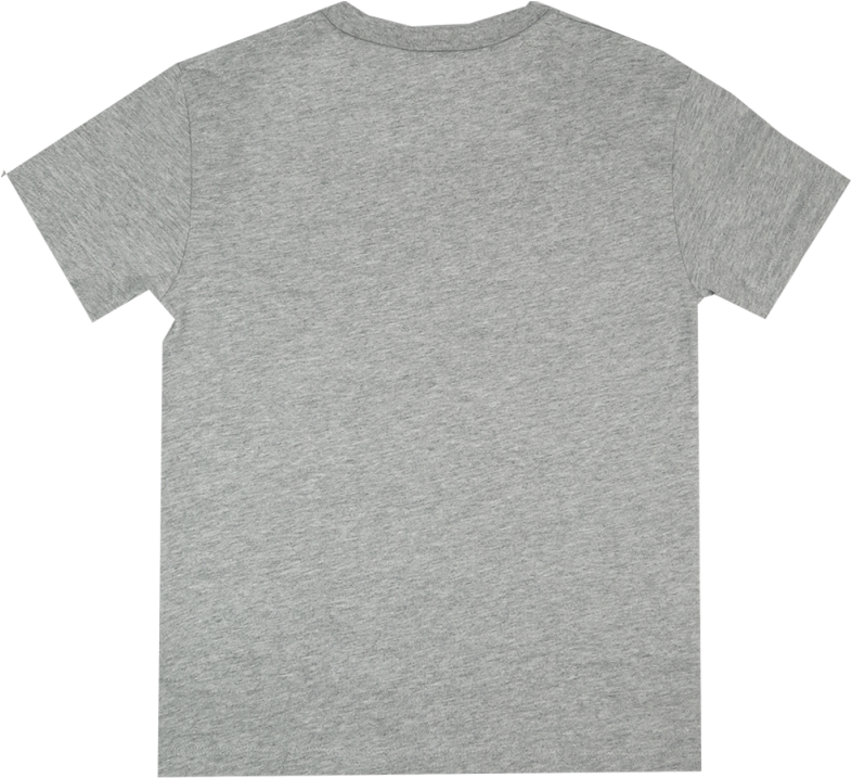 Lion Of Leisure T-shirt Porcupine - T-shirt Clipart (960x720), Png Download
