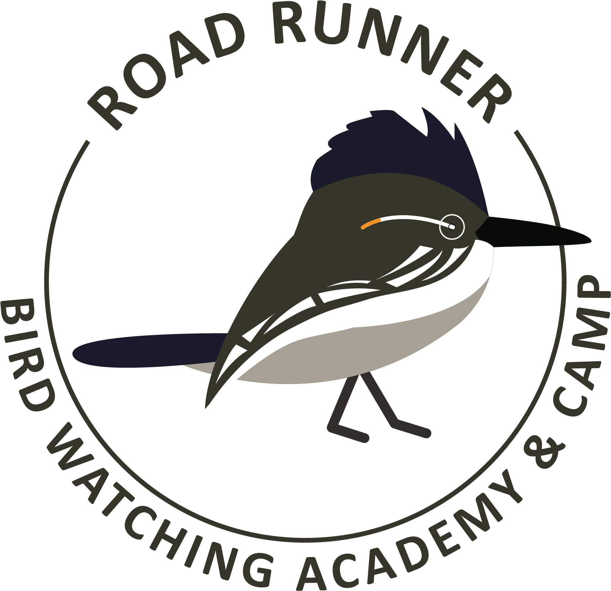 Greater Roadrunner - Old World Flycatcher Clipart (2554x2716), Png Download