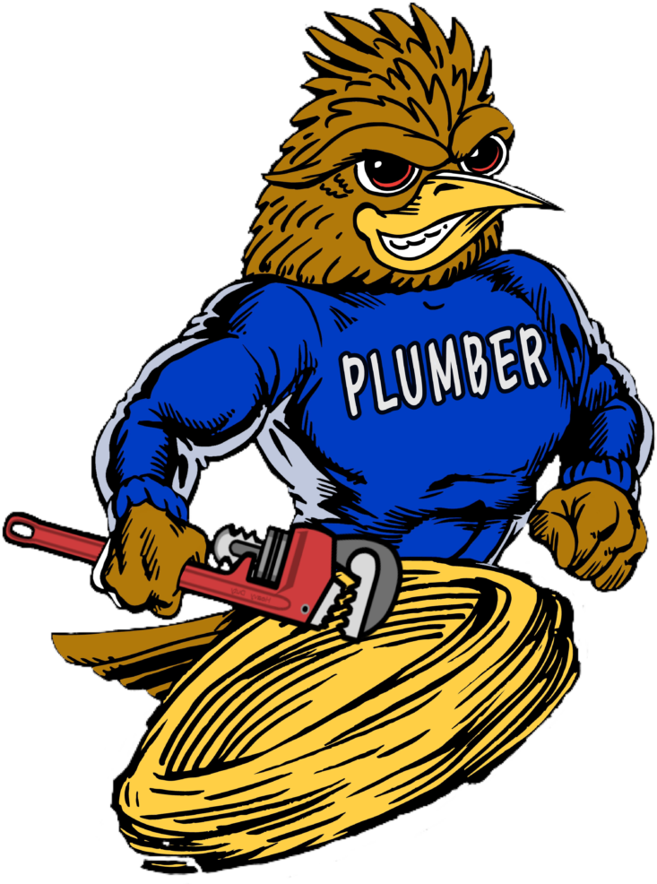 Roadrunner Plumber Plumbing, Drain Cleaning, Video Clipart (770x1024), Png Download