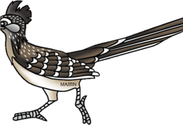 Roadrunner Cliparts - Road Runner Clip Art Free - Png Download (640x480), Png Download