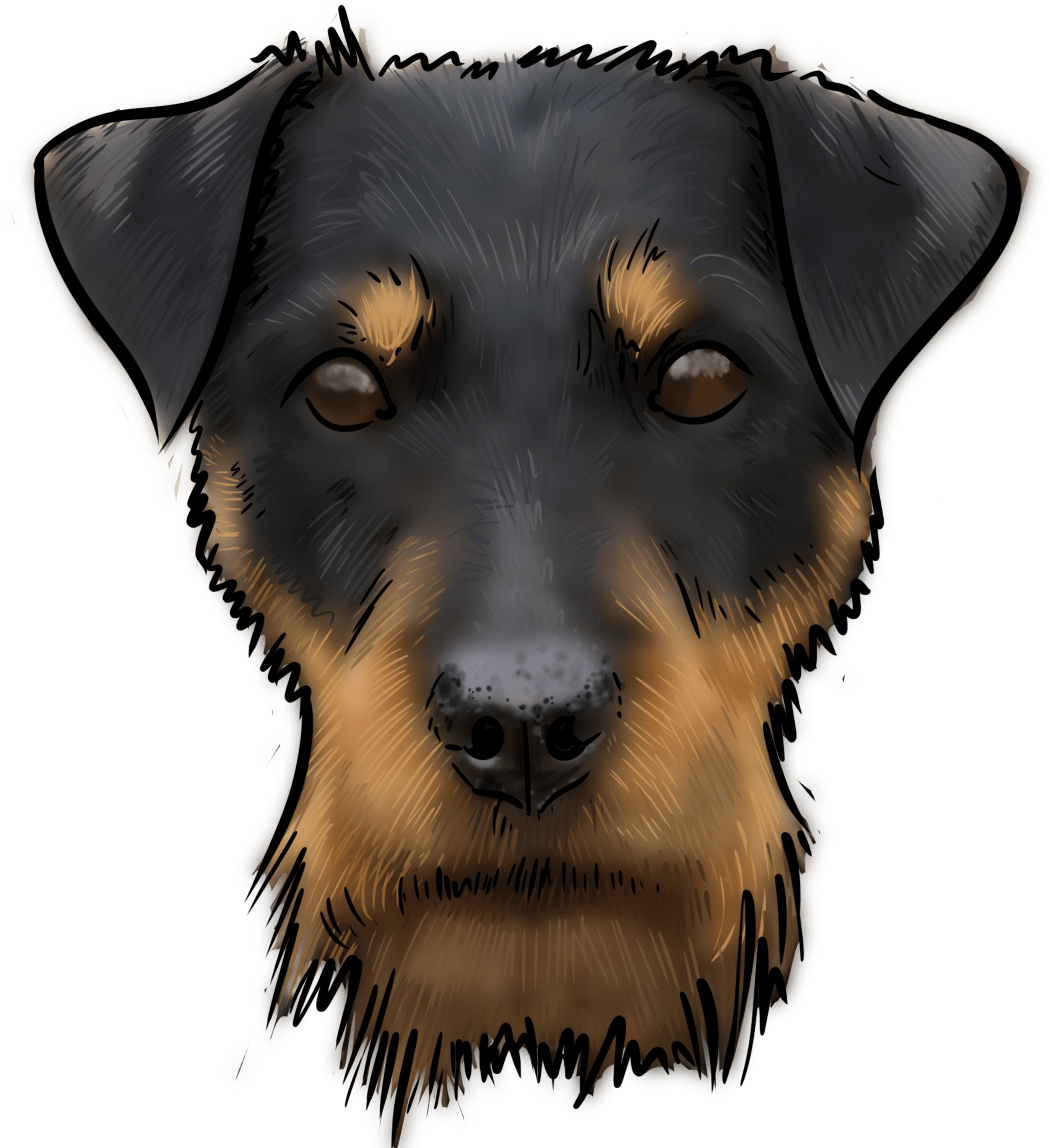 Is A Relatively New Dog In The Dog World - Companion Dog Clipart (3000x3000), Png Download
